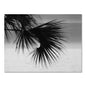 Nordic modern black &amp; white coastal landscape wall art