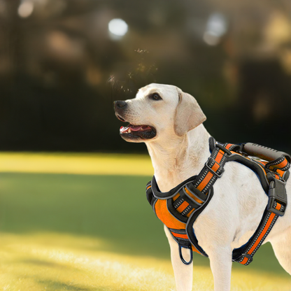 Dog harness without pull, reflective pet harness vest.